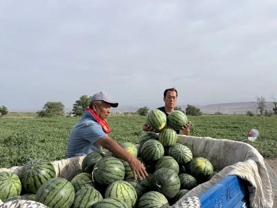 新海天吃瓜,揭秘娱乐圈最新热点事件