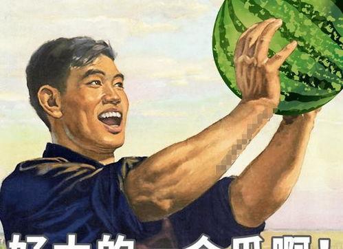 理智吃瓜,揭秘娱乐圈背后的真相与真相背后的瓜