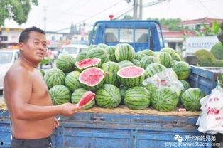 小区外边吃瓜贩,揭秘小区外瓜贩的美食传奇