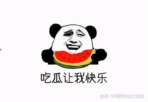 搞笑吃瓜回复文案,吃瓜群众欢乐多