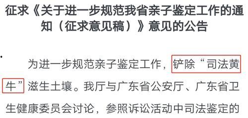 吃瓜亲子鉴定小美,小美揭开身份之谜