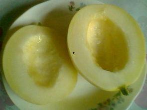 能带皮吃的瓜,揭秘能带皮吃的瓜的秘密