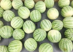 拖地吃瓜,揭秘日常生活中的小确幸