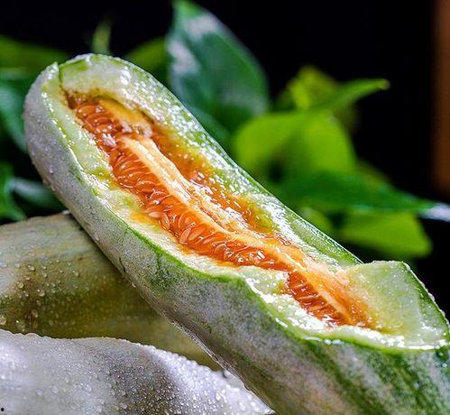 博洋瓜怎样吃,解锁美味新体验