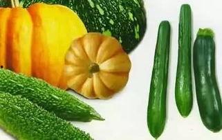 侃侃吃瓜下载,揭秘热门事件背后的真相与笑料