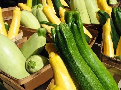 浙瓜什么季节吃最好,秋季浙瓜最鲜美时节
