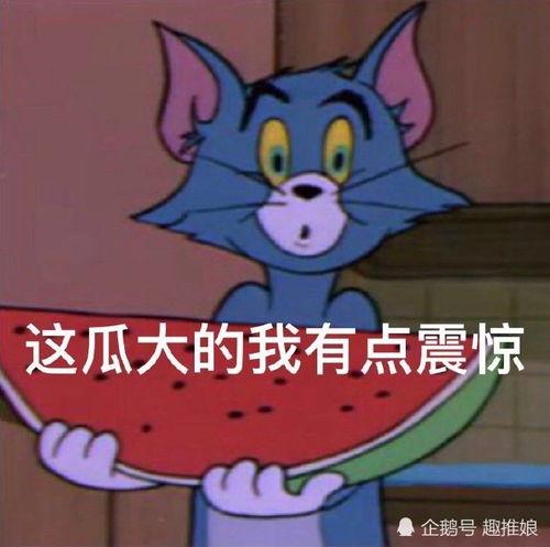 ai吃瓜表情,揭秘虚拟世界中的“吃瓜群众”现象