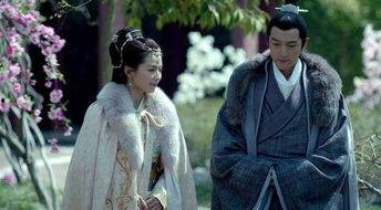 电视剧吃瓜描述,揭秘娱乐圈背后的秘密与真相