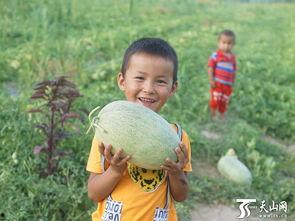 儿童吃瓜群众段子,童言无忌，段子里的欢乐时光