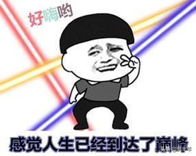 带你吃瓜天太热,带你吃瓜解暑趣事