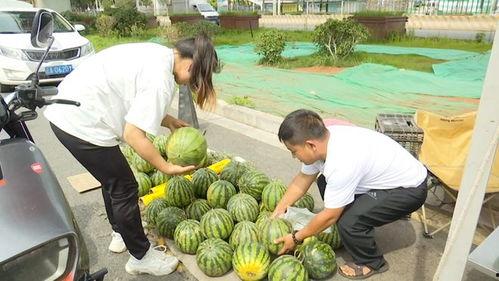 吃瓜在外面,吃瓜群众视角下的娱乐圈风云录